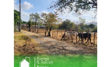 SE VENDE TERRENO EN POTRERO T04