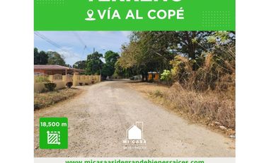 SE VENDE TERRENO EN POTRERO T04
