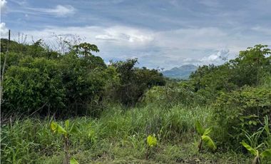 Vendo terrenos en La Pintada Cocle