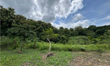 Vendo terrenos en La Pintada Cocle