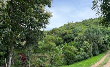 Vendo terrenos en La Pintada Cocle