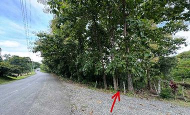 Vendo terrenos en La Pintada Cocle