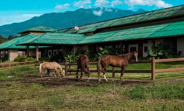 Venta Apartamento en Alto Boquete, Edificio Pinoalto