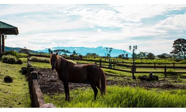 Venta Apartamento en Alto Boquete, Edificio Pinoalto