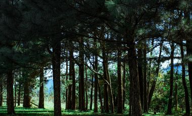 Venta Apartamento en Alto Boquete, Edificio Pinoalto