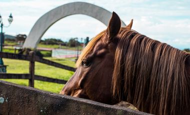 Venta Apartamento en Alto Boquete, Edificio Pinoalto