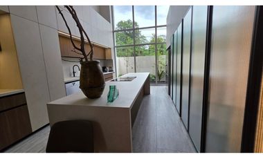 Oceana Residences and Sky Homes Town homes   dos niveles