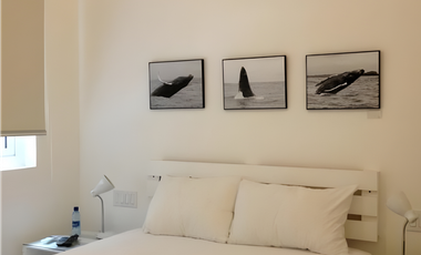 Se Alquila - Vende Edificio en Casco Viejo