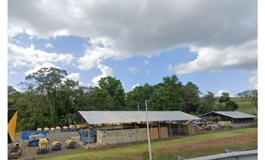 Terreno en Pedregal (ID 13392)