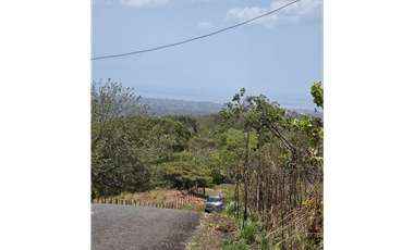 Se Vende finca ubicada en El Calvario, Calle Las Lajas - Chame (MZ)