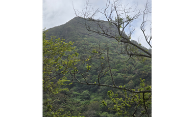 Se Vende terreno a falda de Cerro Picacho, Laguna de San Carlos (MZ)