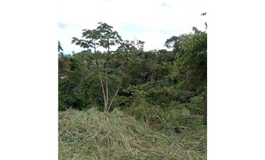 Se Vende terreno a falda de Cerro Picacho, Laguna de San Carlos (MZ)