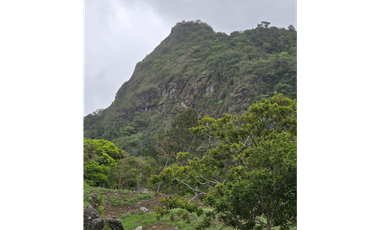 Se Vende terreno a falda de Cerro Picacho, Laguna de San Carlos (MZ)
