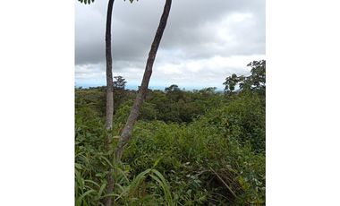 Se Vende terreno a falda de Cerro Picacho, Laguna de San Carlos (MZ)