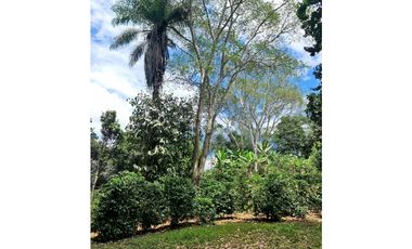 Se Vende finca ubicada en Montelirio, Santa Clara - Chiriquí (RSdeR)