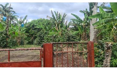 Se Vende finca ubicada en Montelirio, Santa Clara - Chiriquí (RSdeR)