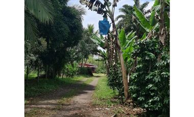 Se Vende finca ubicada en Montelirio, Santa Clara - Chiriquí (RSdeR)
