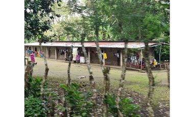 Se Vende finca ubicada en Montelirio, Santa Clara - Chiriquí (RSdeR)