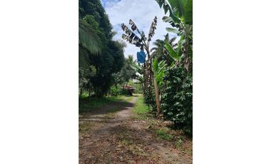 Se Vende finca ubicada en Montelirio, Santa Clara - Chiriquí (RSdeR)