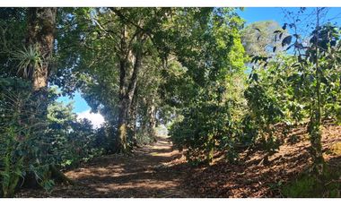Se Vende finca ubicada en Montelirio, Santa Clara - Chiriquí (RSdeR)