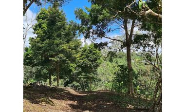 Se Vende finca ubicada en Montelirio, Santa Clara - Chiriquí (RSdeR)