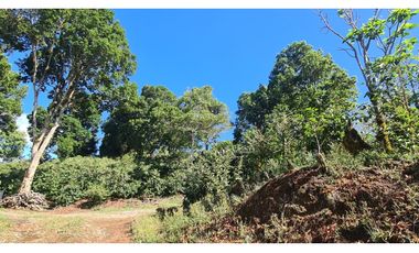 Se Vende finca ubicada en Montelirio, Santa Clara - Chiriquí (RSdeR)