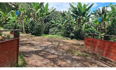 Se Vende finca ubicada en Montelirio, Santa Clara - Chiriquí (RSdeR)