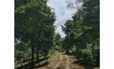 Se Vende finca ubicada en Montelirio, Santa Clara - Chiriquí (RSdeR)