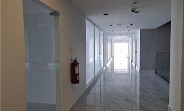 SE ALQUILAN OFICINAS EN THE TOWERS BUSINESS PLAZA