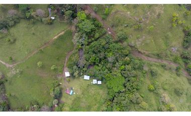 Se vende en Santa Fe del Darién. / Finca La Española / Platanilla