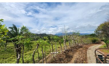 Se vende en Santa Fe del Darién. / Finca La Española / Platanilla
