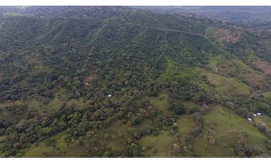 Se vende en Santa Fe del Darién. / Finca La Española / Platanilla