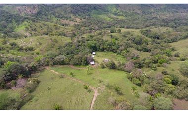 Se vende en Santa Fe del Darién. / Finca La Española / Platanilla