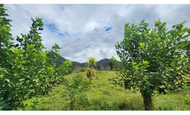 Se vende en Santa Fe del Darién. / Finca La Española / Platanilla