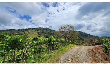 Se vende en Santa Fe del Darién. / Finca La Española / Platanilla