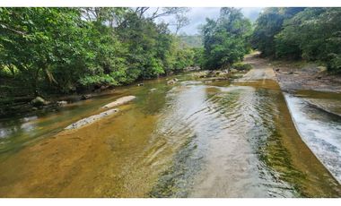 Se vende en Santa Fe del Darién. / Finca La Española / Platanilla