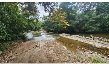 Se vende en Santa Fe del Darién. / Finca La Española / Platanilla