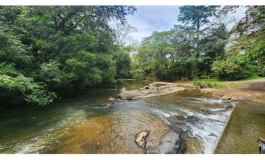 Se vende en Santa Fe del Darién. / Finca La Española / Platanilla