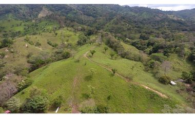 Se vende en Santa Fe del Darién. / Finca La Española / Platanilla