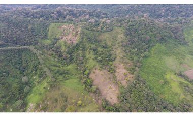 Se vende en Santa Fe del Darién. / Finca La Española / Platanilla