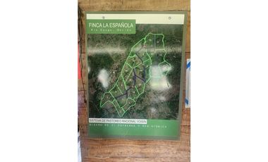 Se vende en Santa Fe del Darién. / Finca La Española / Platanilla