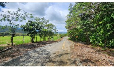 Se vende en Santa Fe del Darién. / Finca La Española / Platanilla