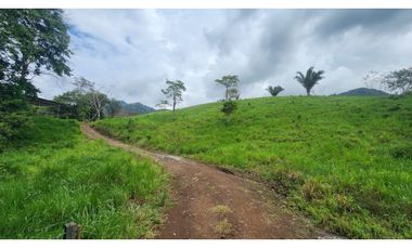 Se vende en Santa Fe del Darién. / Finca La Española / Platanilla