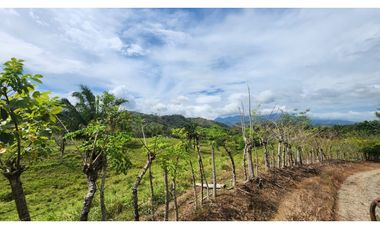 Se vende en Santa Fe del Darién. / Finca La Española / Platanilla