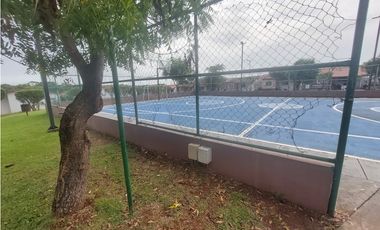Alquilo casa en Los Avellanos Arboledas Chorrera
