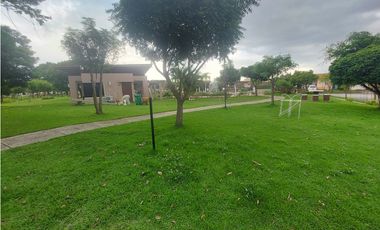 Alquilo casa en Los Avellanos Arboledas Chorrera