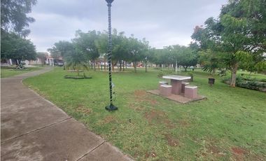 Alquilo casa en Los Avellanos Arboledas Chorrera