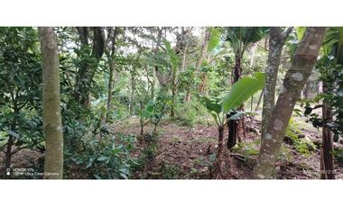 Oportunidad de Inversión - Chiriquí/Investment Opportunity in Chiriqui