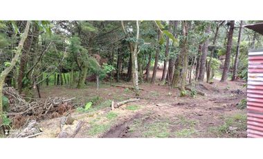 Oportunidad de Inversión - Chiriquí/Investment Opportunity in Chiriqui