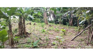 Oportunidad de Inversión - Chiriquí/Investment Opportunity in Chiriqui